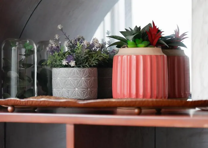 Cocon Design Pour 3 Centre